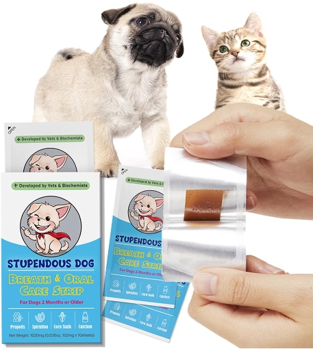 Disposable Dog Treats Oral Dissolving Film-1.jpg